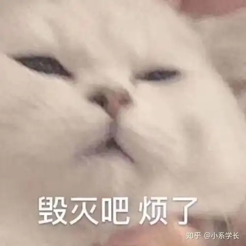 对于高中生来说,什么是假装努力
