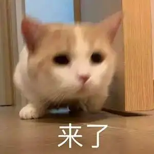 沙雕可爱表情包第239期

