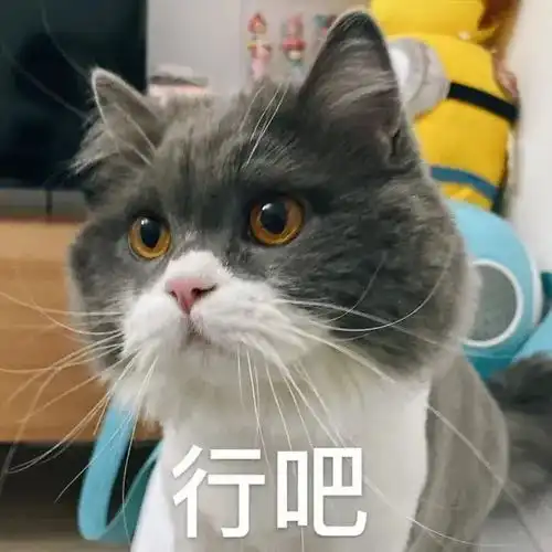 第127期聊天斗图必备表情包
