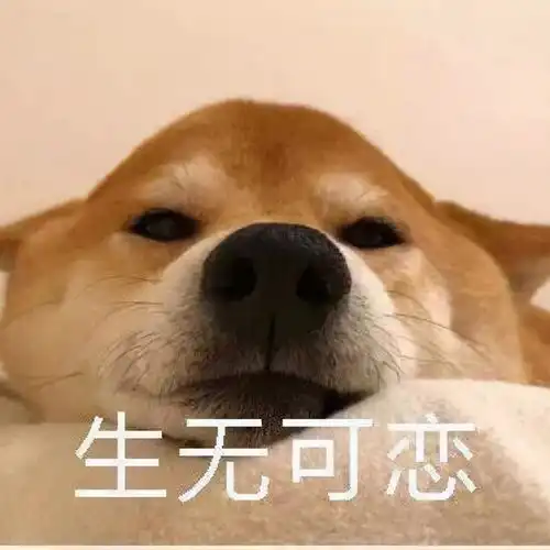 柴犬冬季打工人表情包合集不想起床,不想上班

