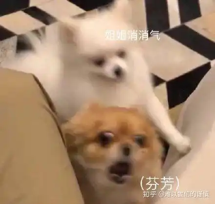b站会变成粪坑吗
