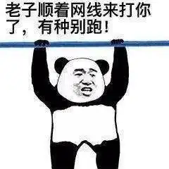 你一发表情包我就知道我们对话要结束了

