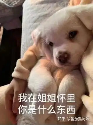 世上最容易的喜欢,居然都在约x软件上
