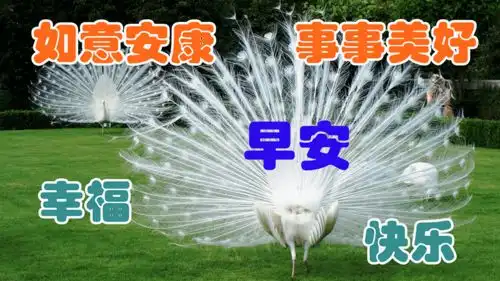 10月17日最美早安表情图片大全微信带字最新一天漂亮早晨好图片
