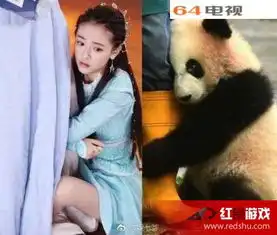 择天记吴倩熊猫式抱大腿被赞可爱鹿晗秒变管理员
