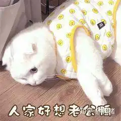 有什么撩女生的情话和表情包
