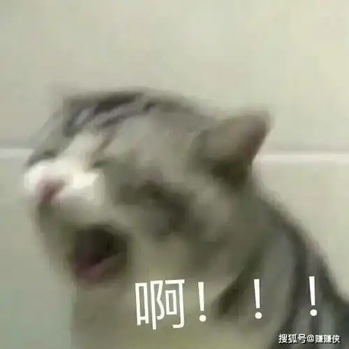 表情包群拿图片让我看看
