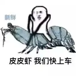 大巴黎主场即将沦陷,冲超布赖顿志在3分
