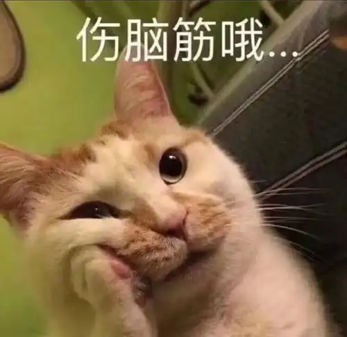 嘬表情包我能