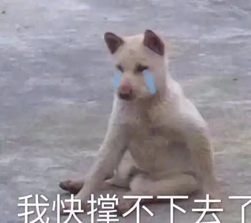 高温预警又回来了而台风
