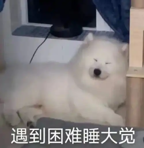 摘掉口罩美到nextlevel,把这个女人给我镶在红毯上
