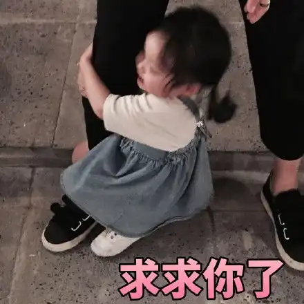 网络常见表情包之权律二
