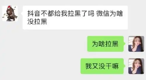 实用,王思聪孙一宁聊天记录表情包原图,请自取
