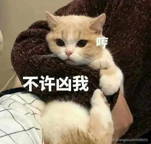 java基础学习笔记流程控制
