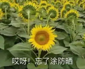 美人计夏天刚到一半,我已经晒黑了
