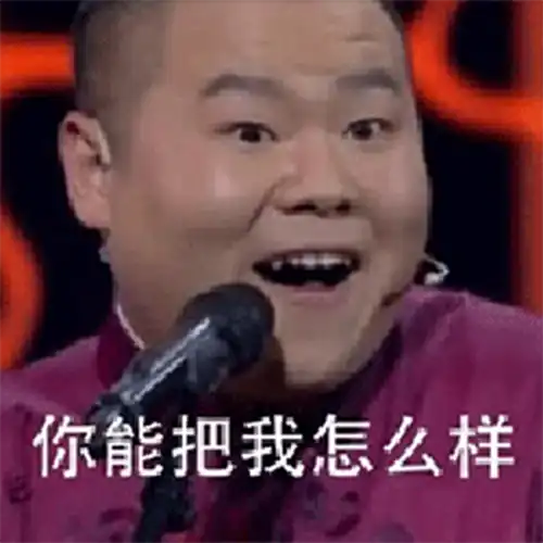 贱人小岳岳
