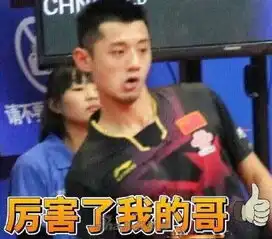 张继科史上最全表情包
