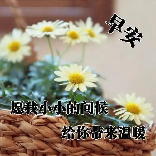 唯美暖心的早安问候语最温暖的早安心语

