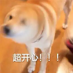 台州瑞驰

