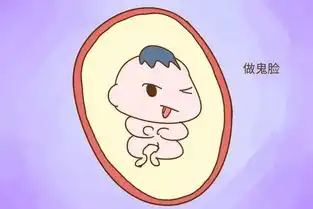 胎儿每天在妈妈肚子里干嘛告诉你,超忙的
