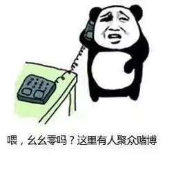 三台警方成功侦办一起最大开设赌场案,11人被抓
