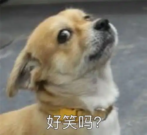 这只中年土狗脸皮厚的不行,跟幼崽抢着喝奶,奶瘾这么大吗

