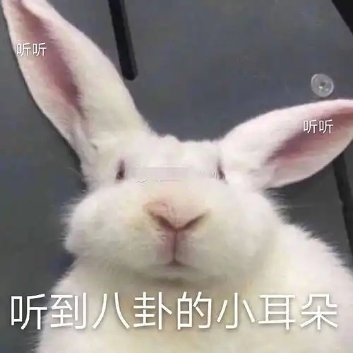 拼多多代运营公司靠谱吗
