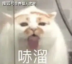 嘬表情包表情