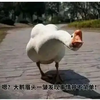 各省动物谋杀图鉴

