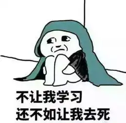 大一大二大三大四学生分别是怎么考会从的
