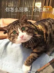 你怎么回事小老弟表情包大全
