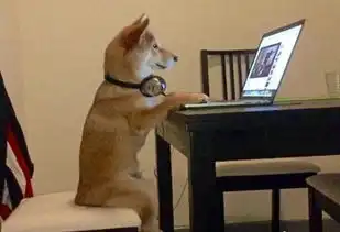 网红表情包柴犬到底是什么样的一条狗
