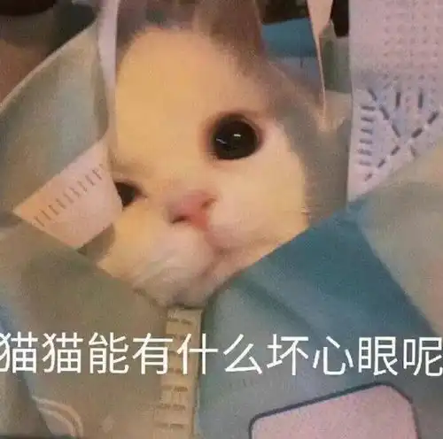 上班可以看纸质书吗
