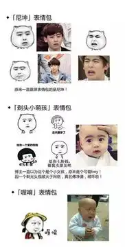 搞事专用,聊天必备
