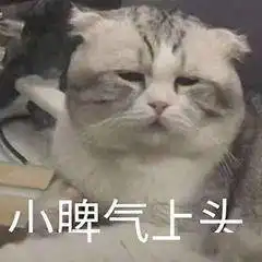 一到夏天头发就塌得飞快你需要这些好物
