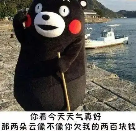 这篇文章的字数,像不像你欠我的钱
