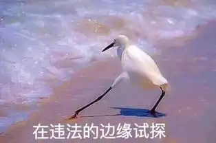 在违法的边缘试探原图在违法的边缘试探表情包
