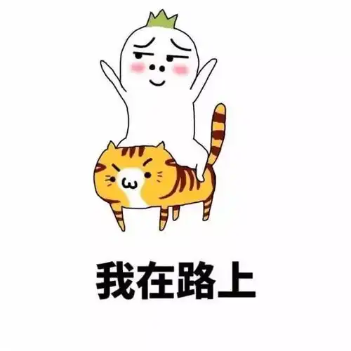 人生九大谎言