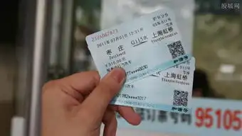 12306怎么抢票12306能自动刷新页面购票吗

