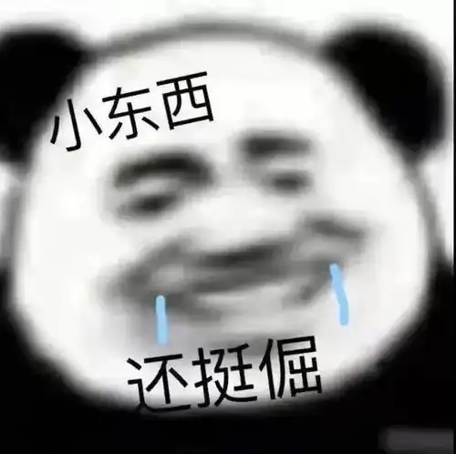 表情包全村人都在等你
