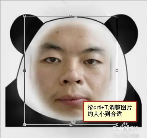 怎么把照片做成表情

