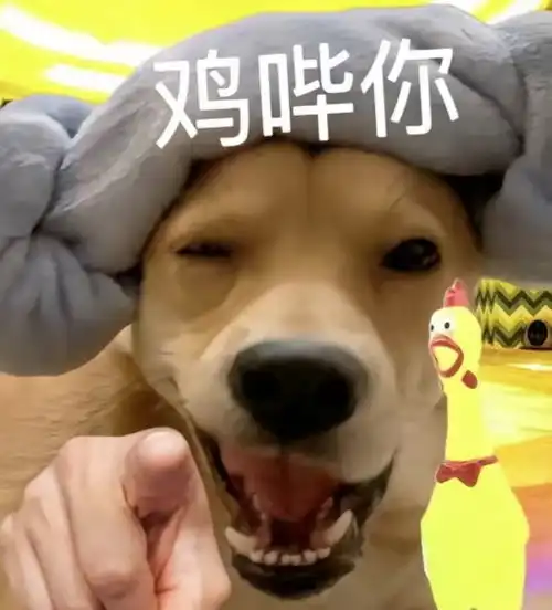 鸡哔你表情包动图下载抖音鸡哔你表情包动图图片下载v1.0嗨客手机站
