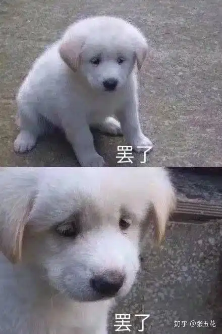 为什么越来越多年轻人不愿意回家过年
