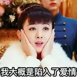 锤爷大料
