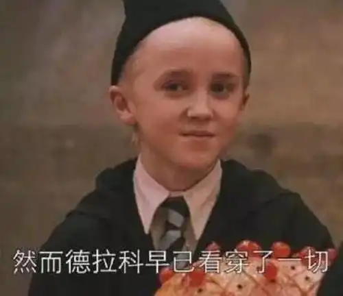 哈利波特终极教科书来啦这两本魔法书才是揭秘魔法世界正确打开方式
