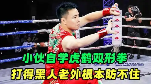 小伙自学虎鹤双形拳,轻松打爆黑人老外,一龙这绝对不可能