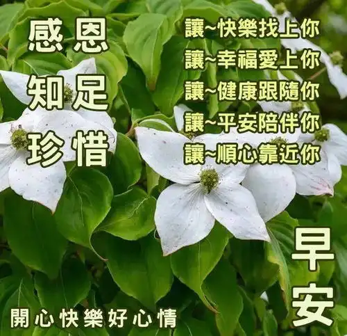 早上好表情包,问候朋友们,带上微笑,迎接吉祥祝福
