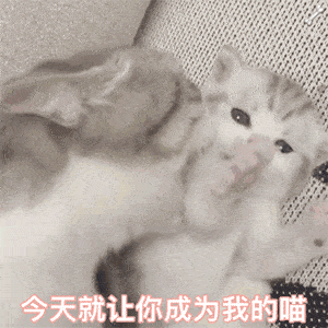 你坏坏,小孩子不能看
