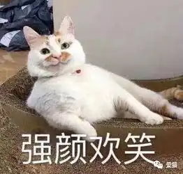 胖,胖,胖,胖,胖,胖,胖,胖,胖,胖......
