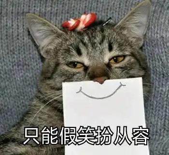 兴趣
